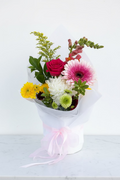 The Bloom Halo – Small